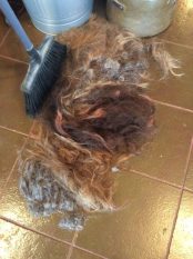 13318508_10153725836648196_1437343075_n